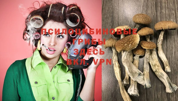 марки lsd Медногорск
