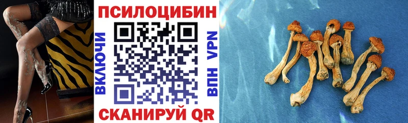 Галлюциногенные грибы ЛСД  продажа наркотиков  Копейск 