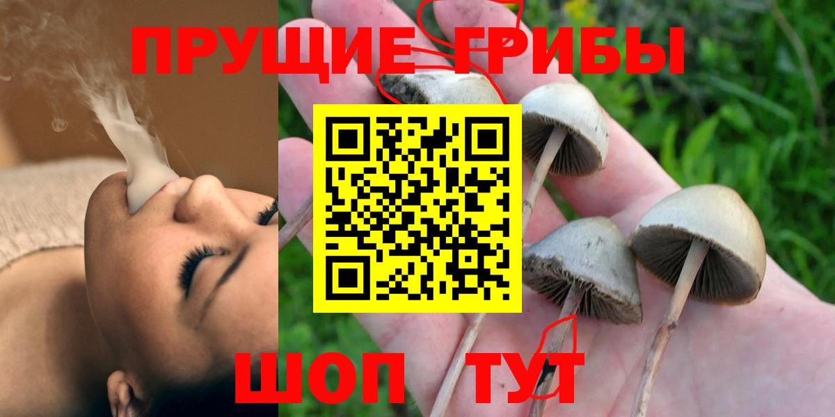 Галлюциногенные грибы Psilocybe  даркнет сайт  Копейск  Вход с VPN 